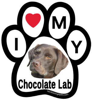 I Heart MY Chocolate Lab Magnet LOVE  Made in USA 