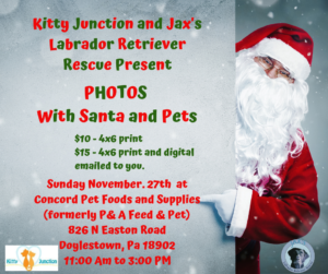 Photos with Santa and Pets @ Concord Pet Foods & Supplies (formerly P & A Feed & Pet)