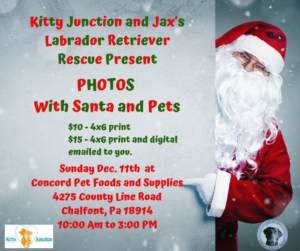 Photos with Santa and Pets @ Concord Pet Food & Supplies