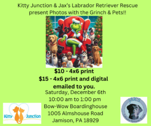 Photos with the Grinch and Pets @Bow-Wow Boardinghouse in Jamison @ Bow-Wow Boardinghouse