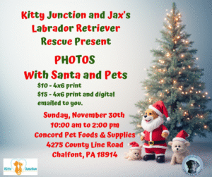 Photos with Santa and Pets @Concord Pet Foods & Supplies in Chalfont @ Concord Pet Food & Supplies