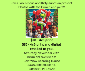 Photos with the Grinch and Pets @ Bow-Wow Boardinghouse
