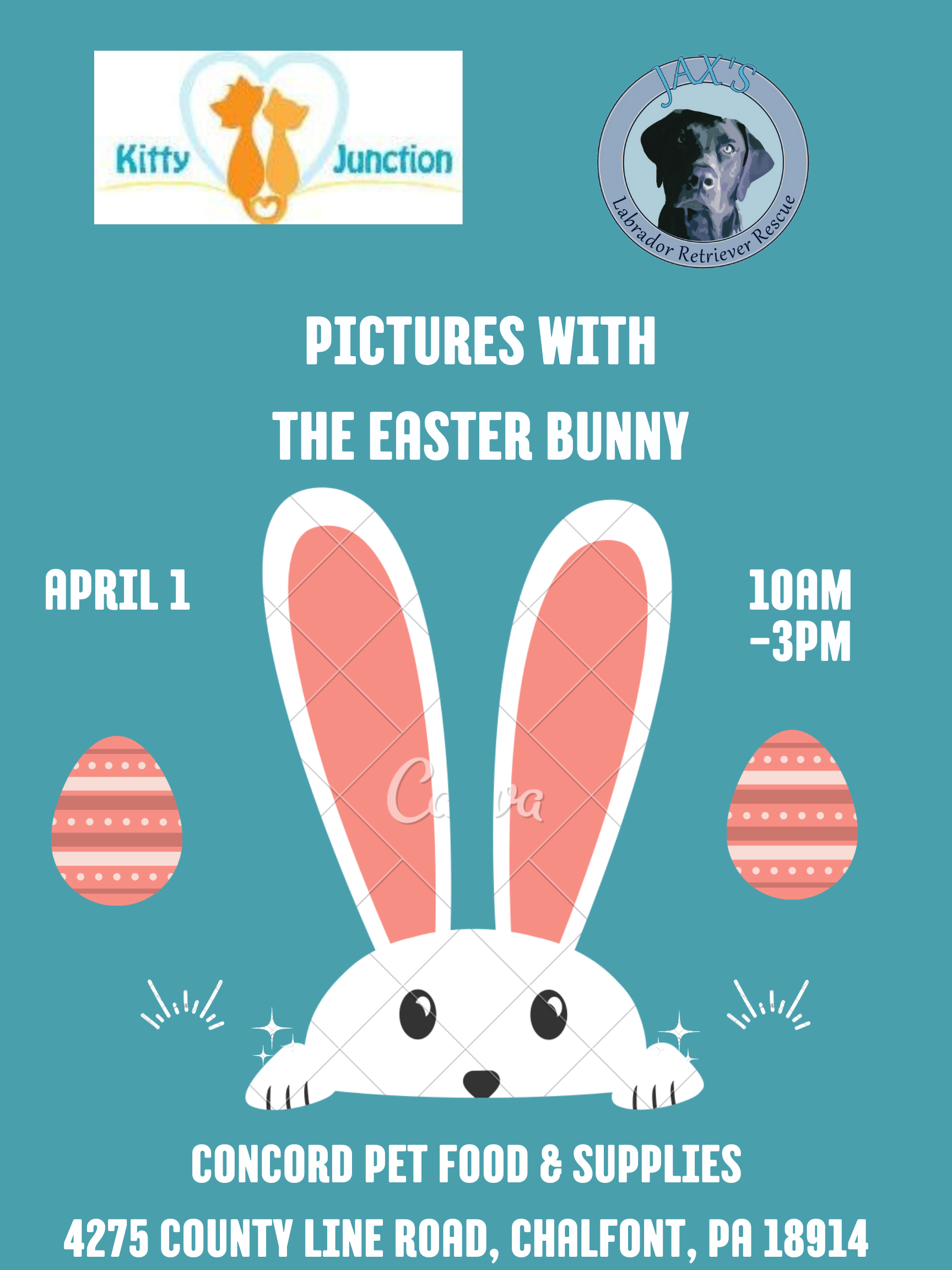 Photos with Easter Bunny & Pets @Concord Pet Food & Supplies Chalfont