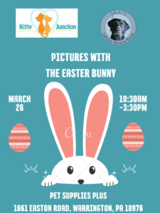 Photos with Easter Bunny & Pets @Pet Supplies Plus Warrington @ Pet Supplies Plus