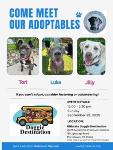 Meet & Greet at Ultimate Doggie Destination @ Ultimate Doggie Destination