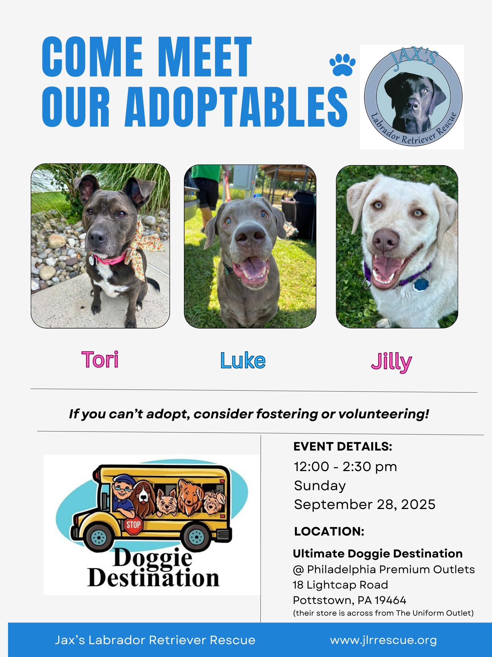 Meet & Greet at Ultimate Doggie Destination