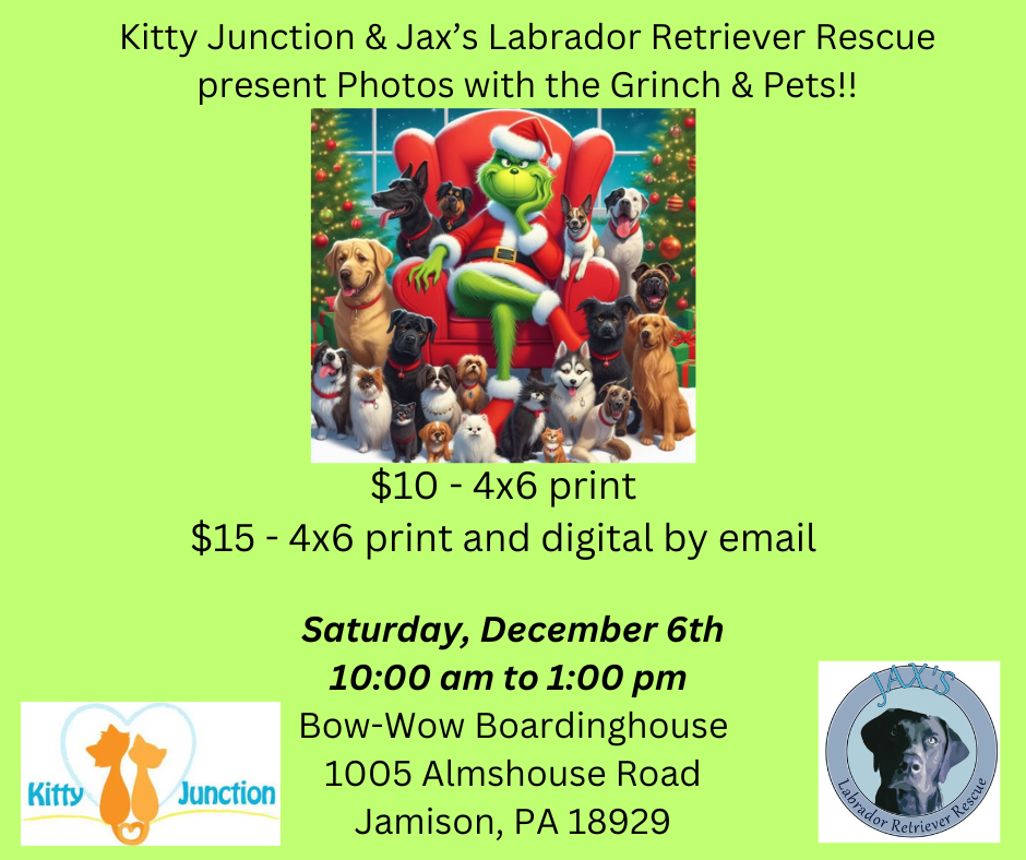 Photos with the Grinch and Pets @Bow-Wow Boardinghouse in Jamison