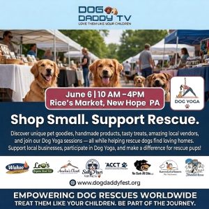 Jax's at New Hope Dog Festival @ Rice's Market